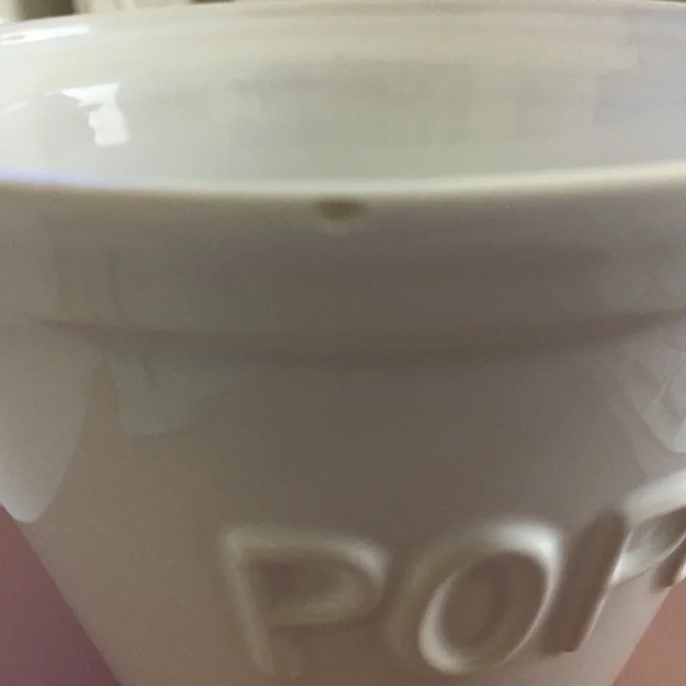 Original 1st Release of Crate & Barrel “Popcorn” Bowls Set of 2 (early 2000s)